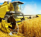 Agriculture & Construction